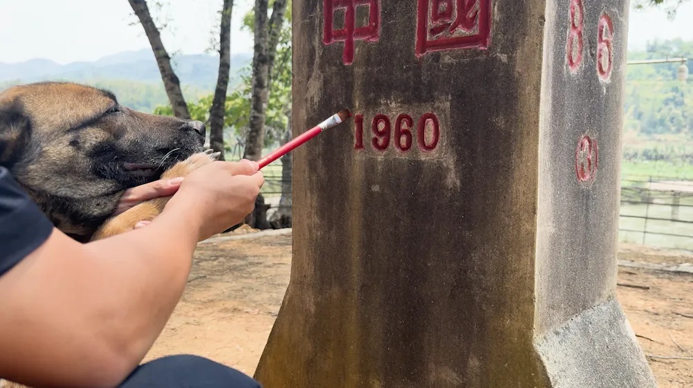 戍边8年，缉毒8年！这位“老兵”退役了……