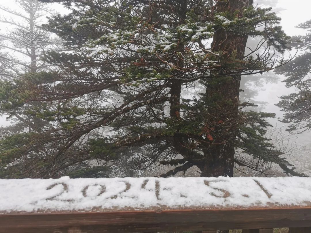 五月第一天，四川多地下雪了！这些景区门票已售磬