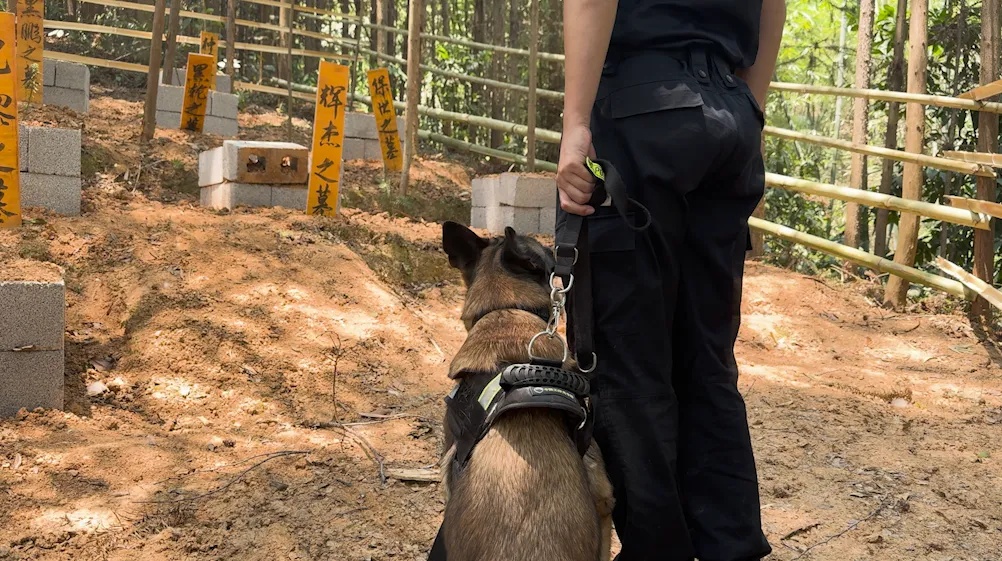 戍边8年，缉毒8年！这位“老兵”退役了……