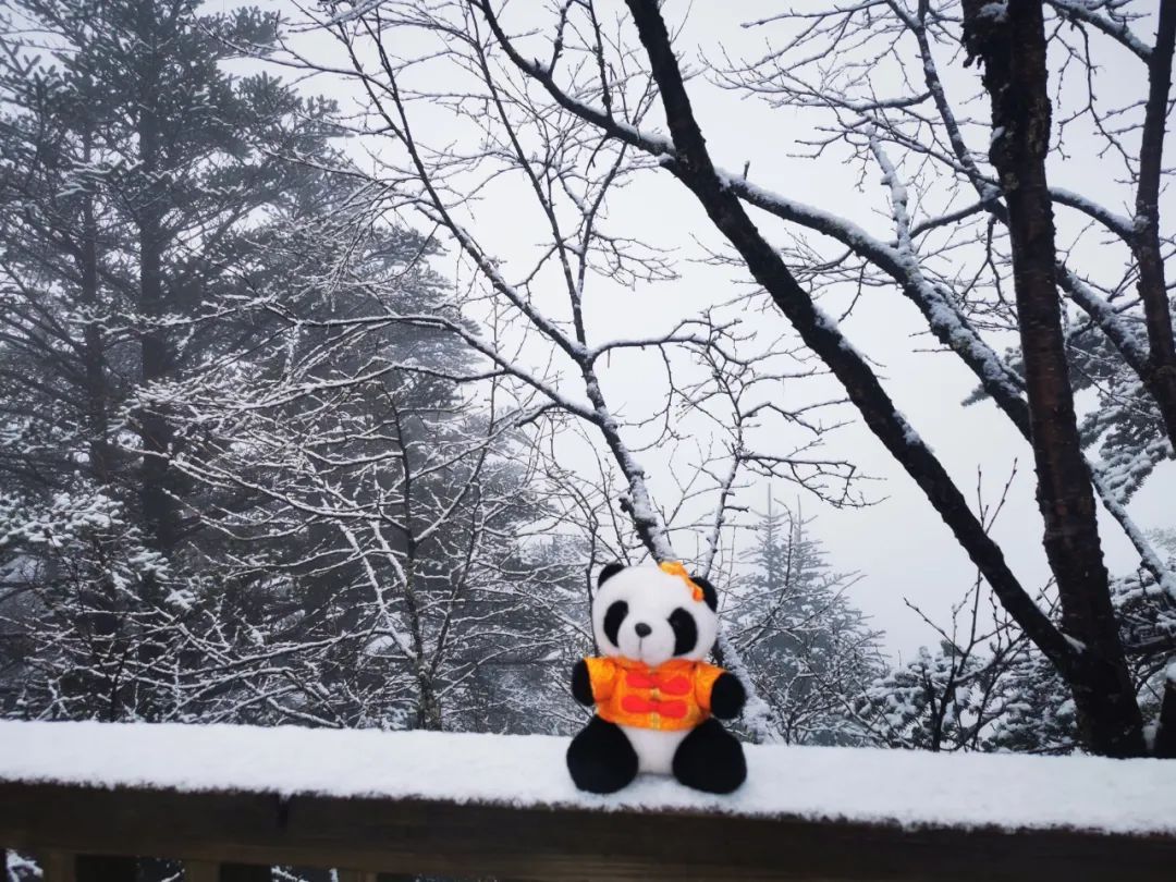五月第一天，四川多地下雪了！这些景区门票已售磬