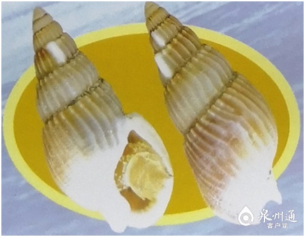 潜伏期最短5分钟！吃1只就可能致命