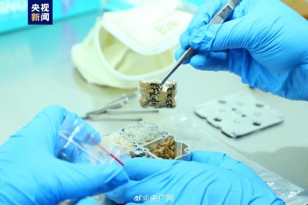 空间科学实验样品顺利返回并交付科学家 空间科学实验样品总重量约31.5公斤