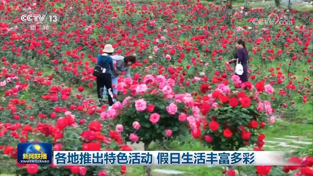 各地推出特色活动 假日生活丰富多彩