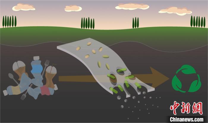国际最新研究:“细菌吃塑料”或助力缓解全球塑料污染 国际最新研究:“细菌吃塑料”或助力缓解全球塑料污染