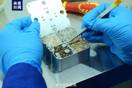中国航天员带回实验样品有助疾病预防 中国航天员带回实验样品有助疾病预防
