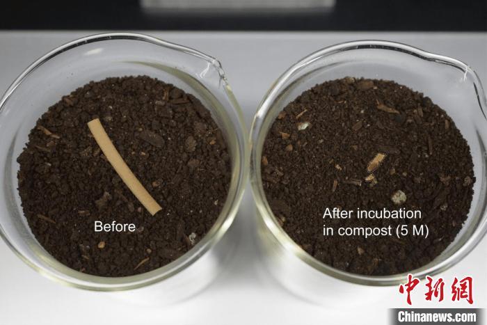 国际最新研究:“细菌吃塑料”或助力缓解全球塑料污染 国际最新研究:“细菌吃塑料”或助力缓解全球塑料污染