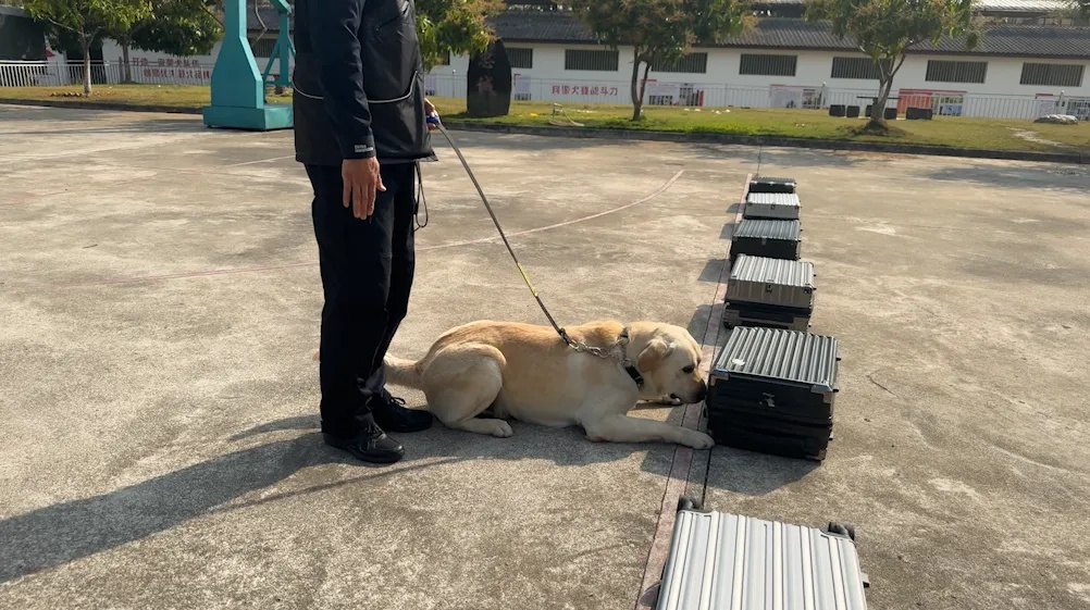 戍边8年，缉毒8年！这位“老兵”退役了……