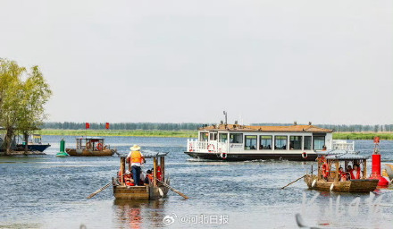 5月1日白洋淀景区正式开放