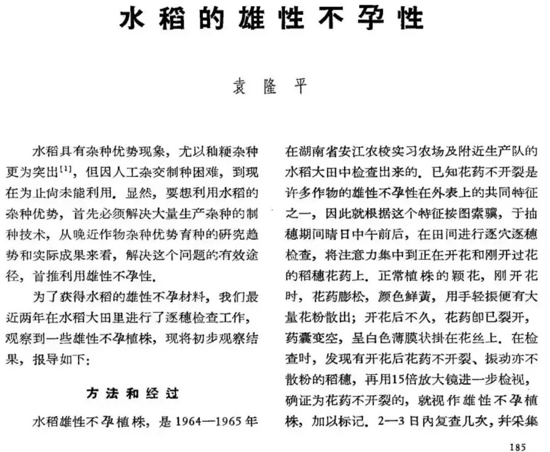 间谍窃取我国杂交水稻种子，后果有多严重？