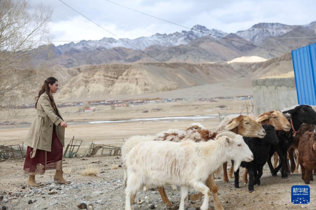 从马背到列车,她成长为我国首位塔吉克族列车长 从马背到列车,她成长为我国首位塔吉克族列车长