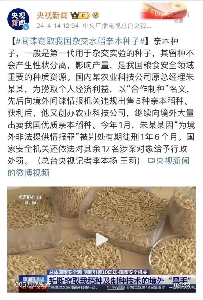间谍窃取我国杂交水稻种子，后果有多严重？