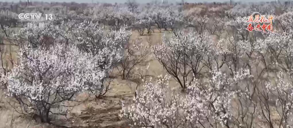 俯瞰祖国大地山河壮丽 五月的中国绽放无限活力 俯瞰祖国大地山河壮丽 五月的中国绽放无限活力