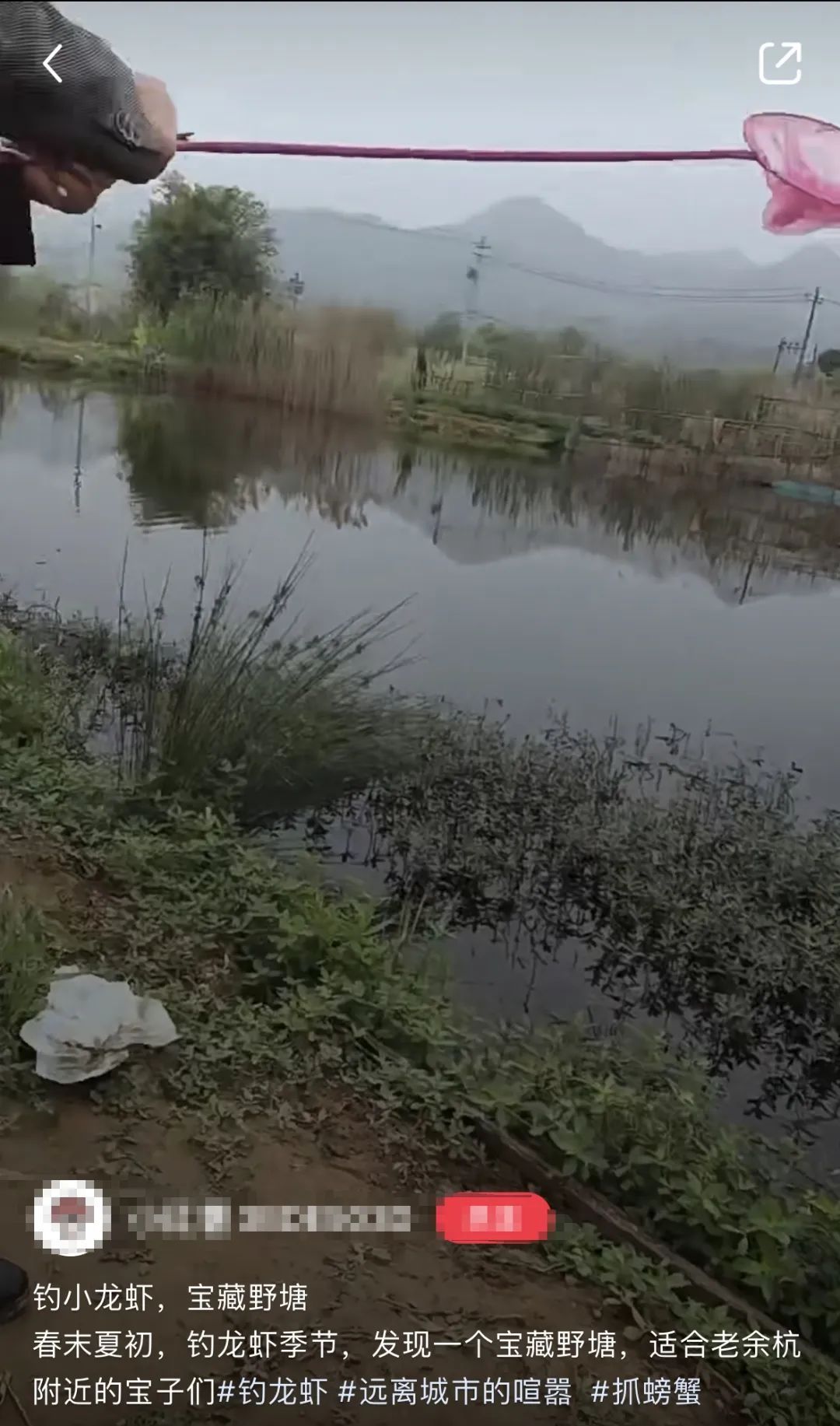 “一个半小时拿下30只”!杭州这事火了!更厉害的是... “一个半小时拿下30只”!杭州这事火了!更厉害的是...