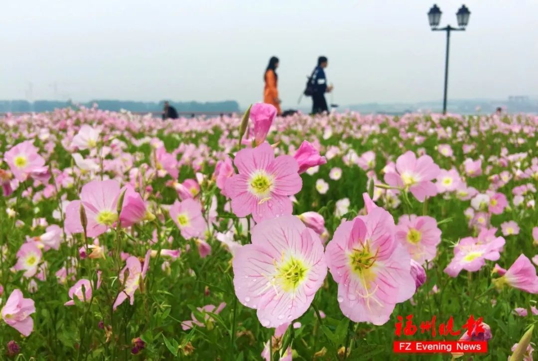 最低9.6℃！福州大降温！马上又要反转