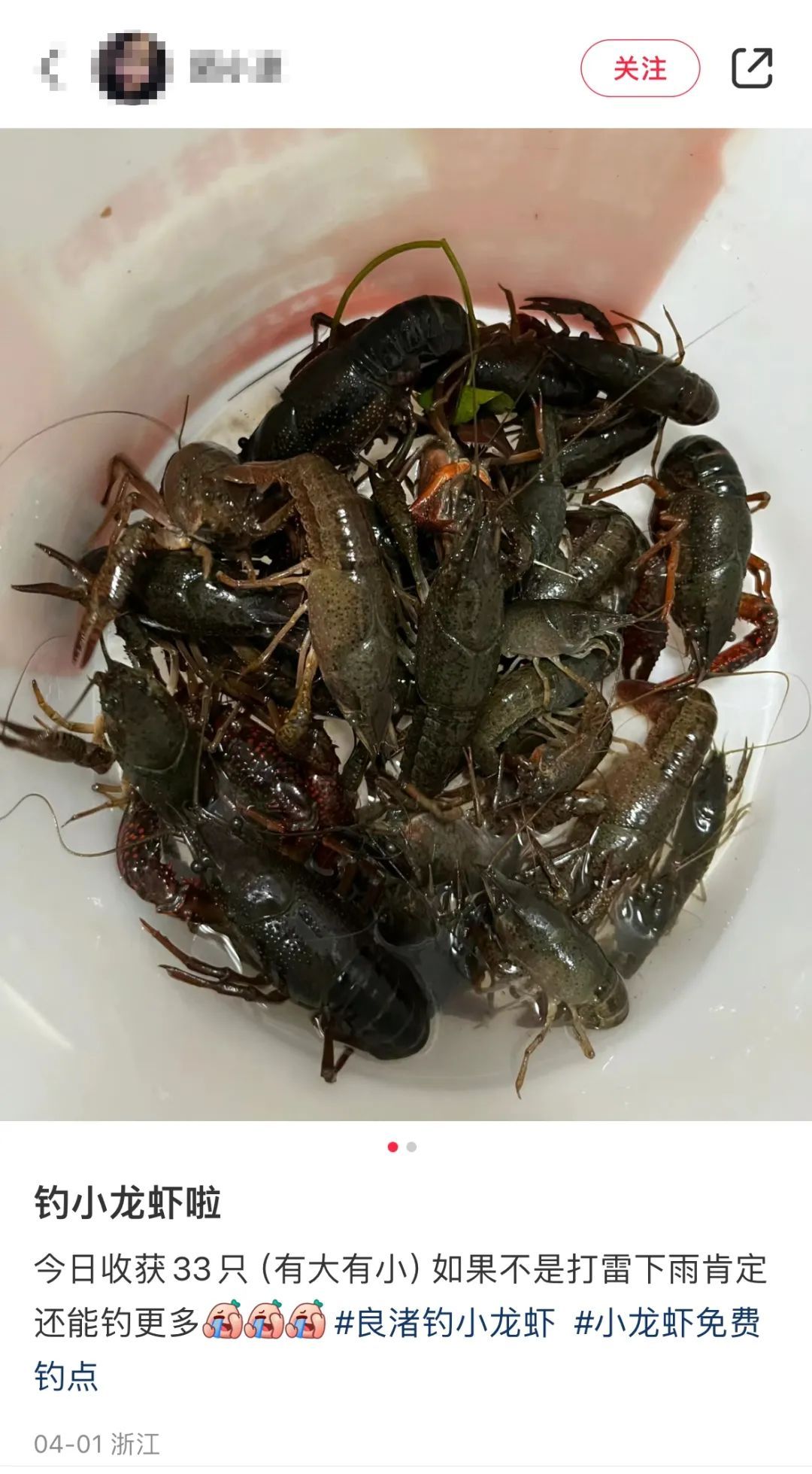 “一个半小时拿下30只”!杭州这事火了!更厉害的是... “一个半小时拿下30只”!杭州这事火了!更厉害的是...