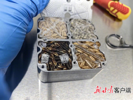 神舟十七号飞船载回兰州“农科特产”