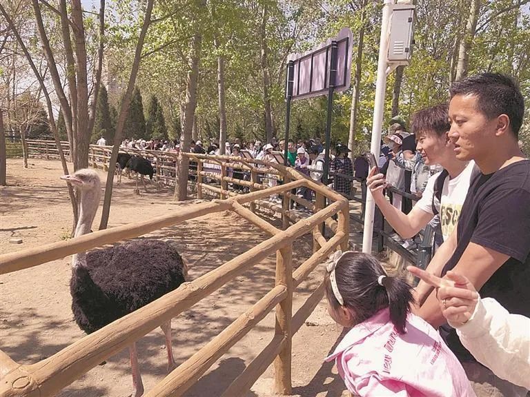 假期首日，大连入境游订单同比增长74%