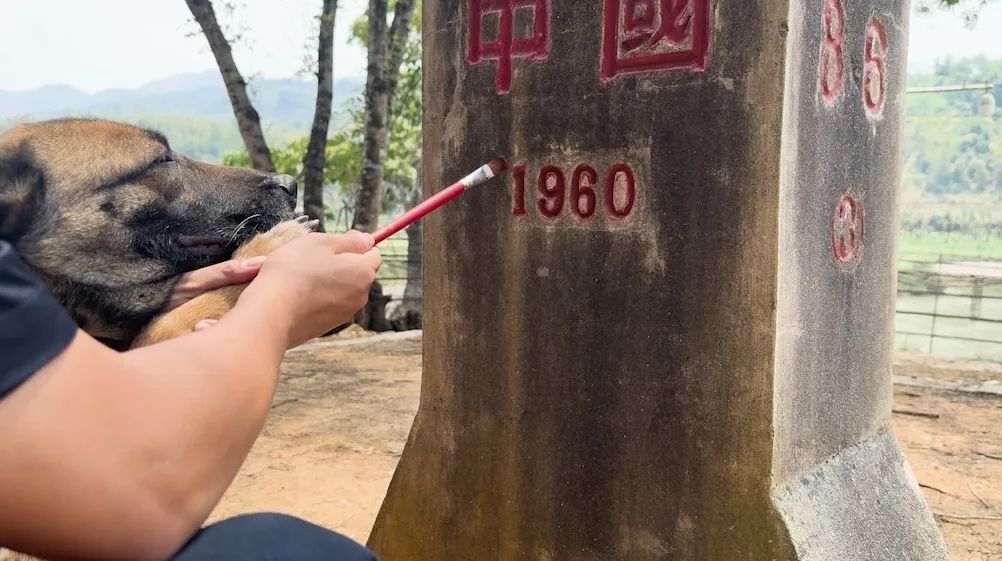鸡腿给你，退役快乐！