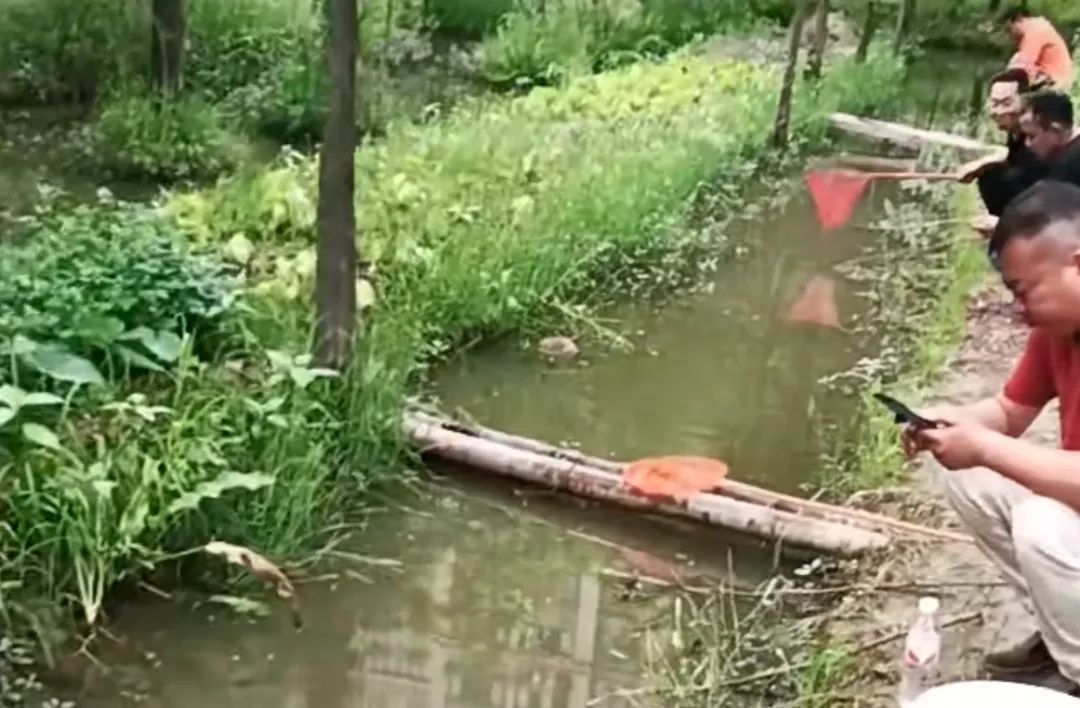 “一个半小时拿下30只”!杭州这事火了!更厉害的是... “一个半小时拿下30只”!杭州这事火了!更厉害的是...