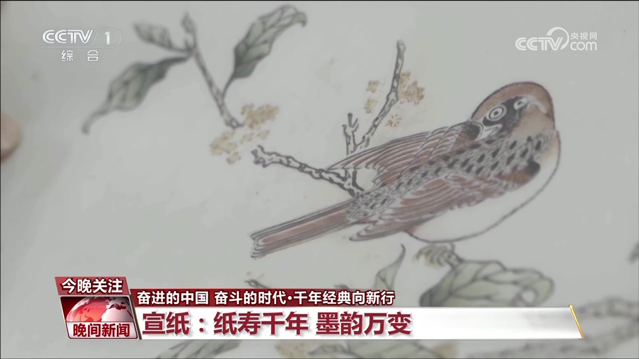 古籍中蕴含千年“绝活儿”，特制宣纸让传统瑰宝“向新而行”