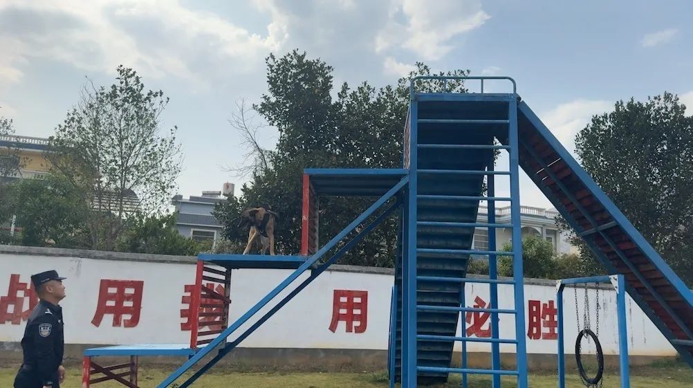 鸡腿给你，退役快乐！