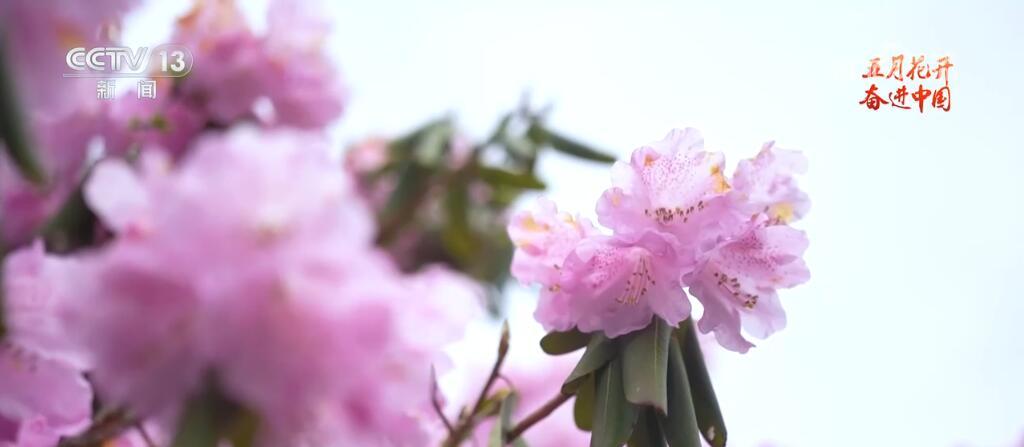 俯瞰祖国大地山河壮丽 五月的中国绽放无限活力 俯瞰祖国大地山河壮丽 五月的中国绽放无限活力