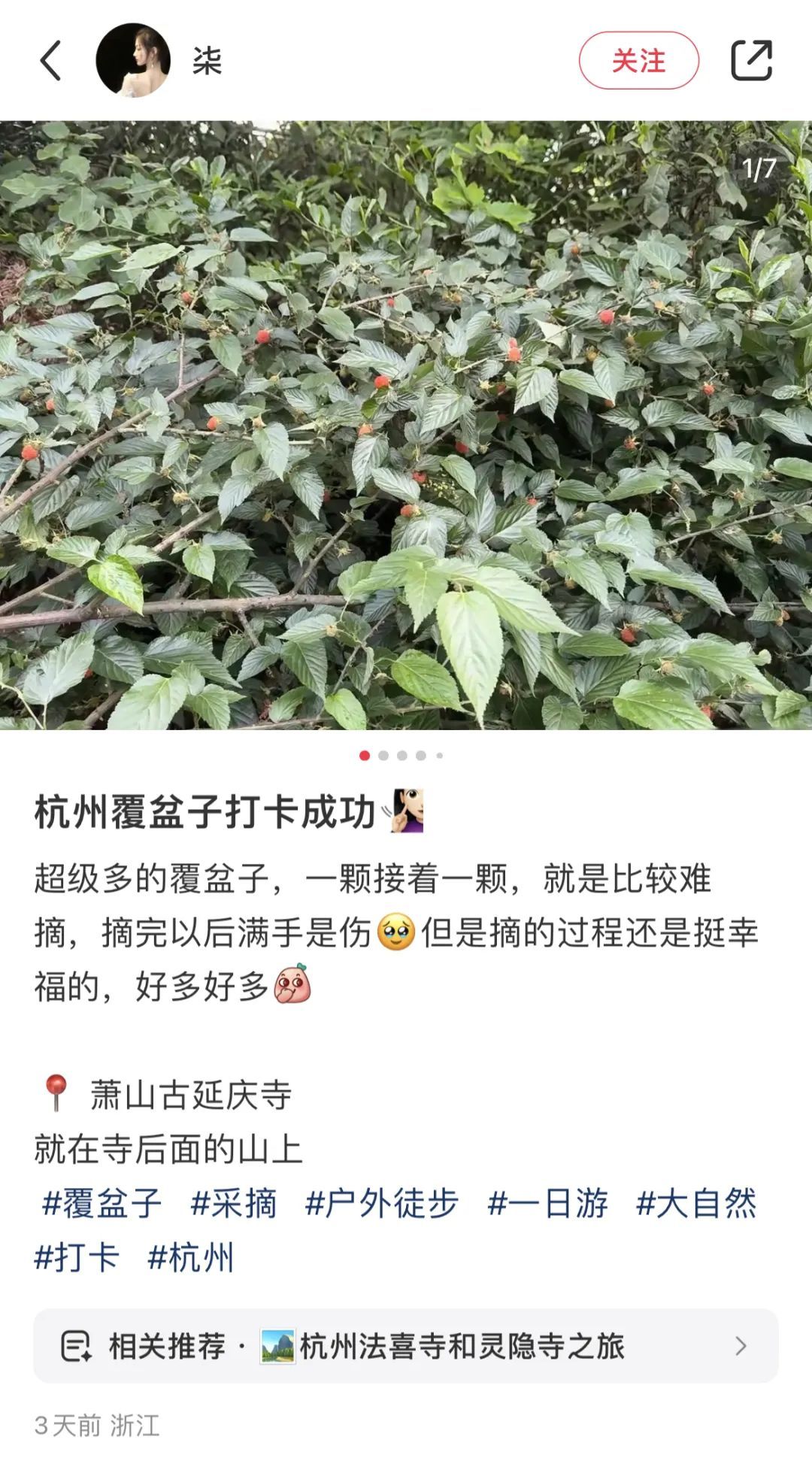 杭州又红了！遍地都是，姑娘随手摘了一篮：满满的回忆杀！但要注意……
