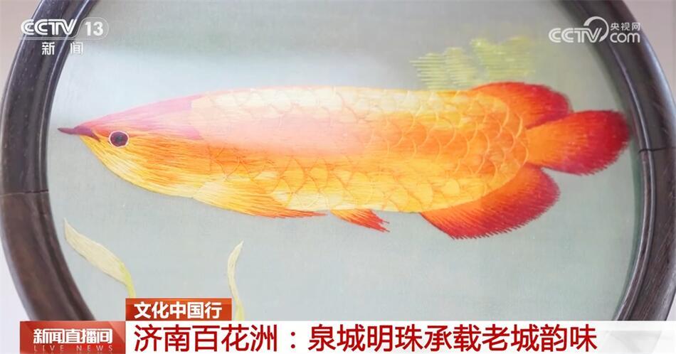 走进济南百花洲 感受齐鲁大地老城老街文化底蕴