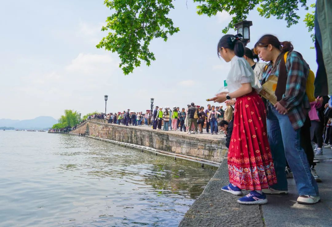 西湖边，很多人都被问住了！为啥没有栏杆？网友：这是“肌肉记忆”......