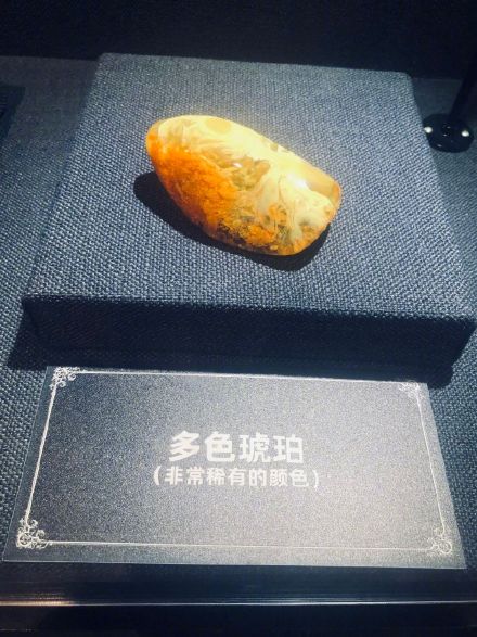 波兰琥珀亮相天津博物馆 波兰琥珀亮相天津博物馆