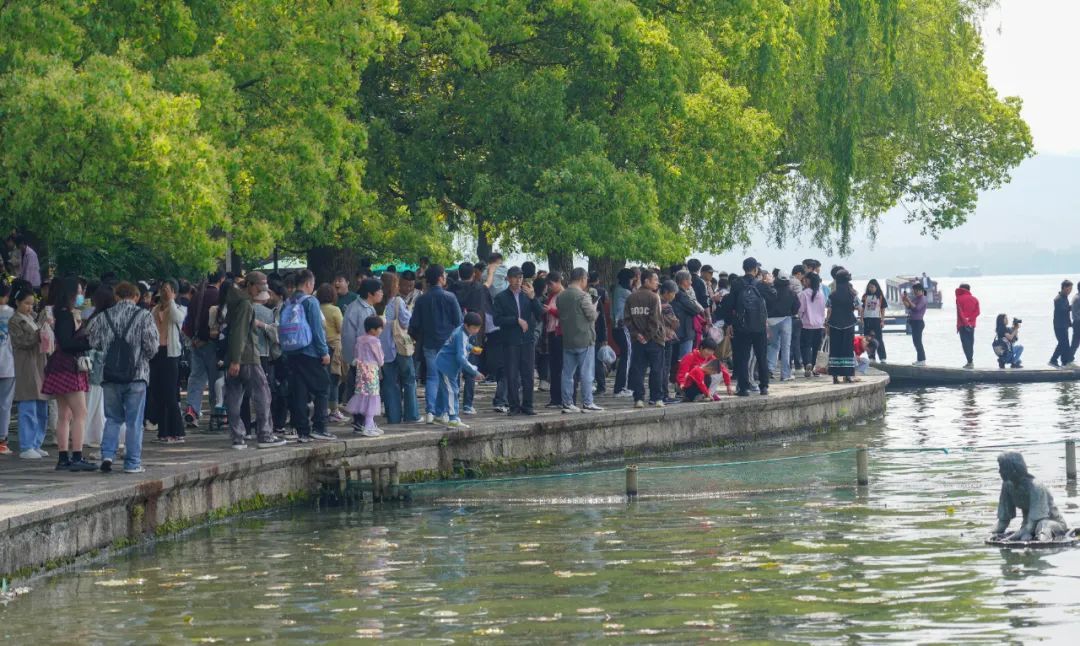 西湖边，很多人都被问住了！为啥没有栏杆？网友：这是“肌肉记忆”......