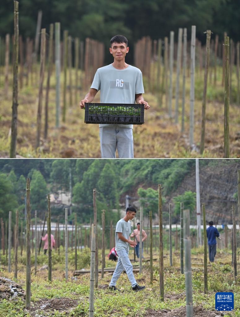 可爱的乡村——“00后”来了 可爱的乡村——“00后”来了