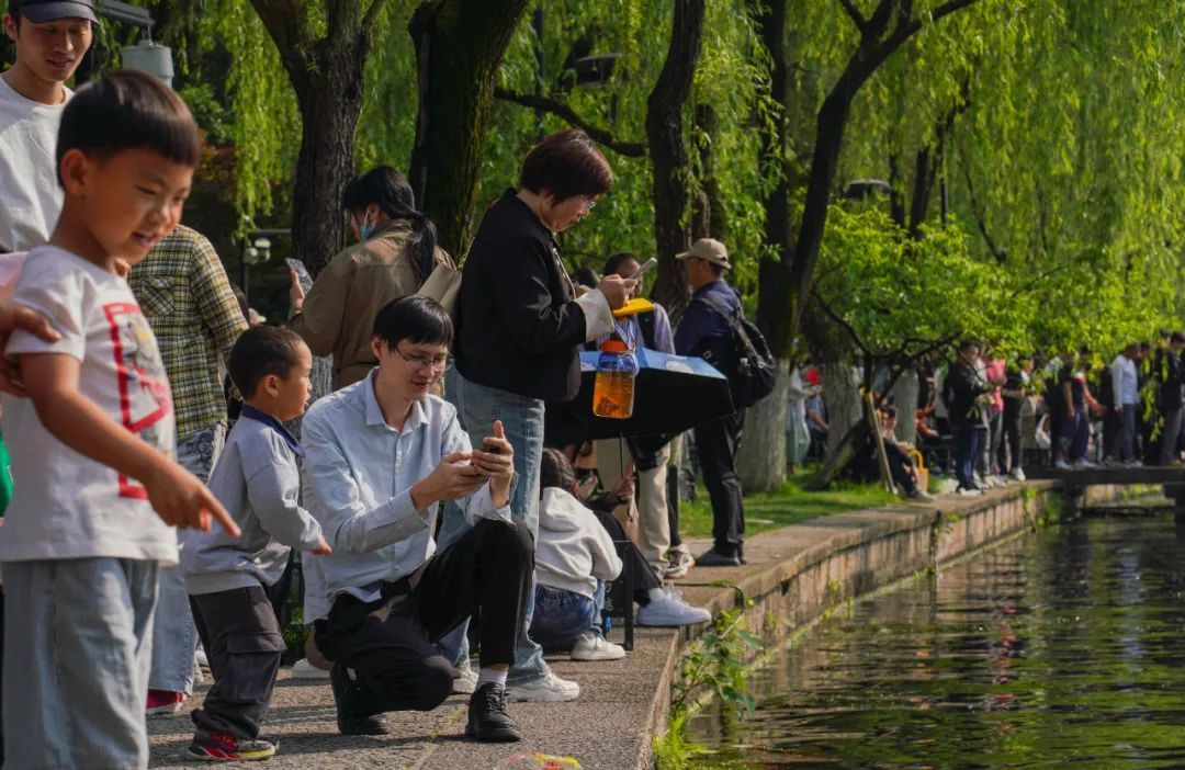 西湖边，很多人都被问住了！为啥没有栏杆？网友：这是“肌肉记忆”......