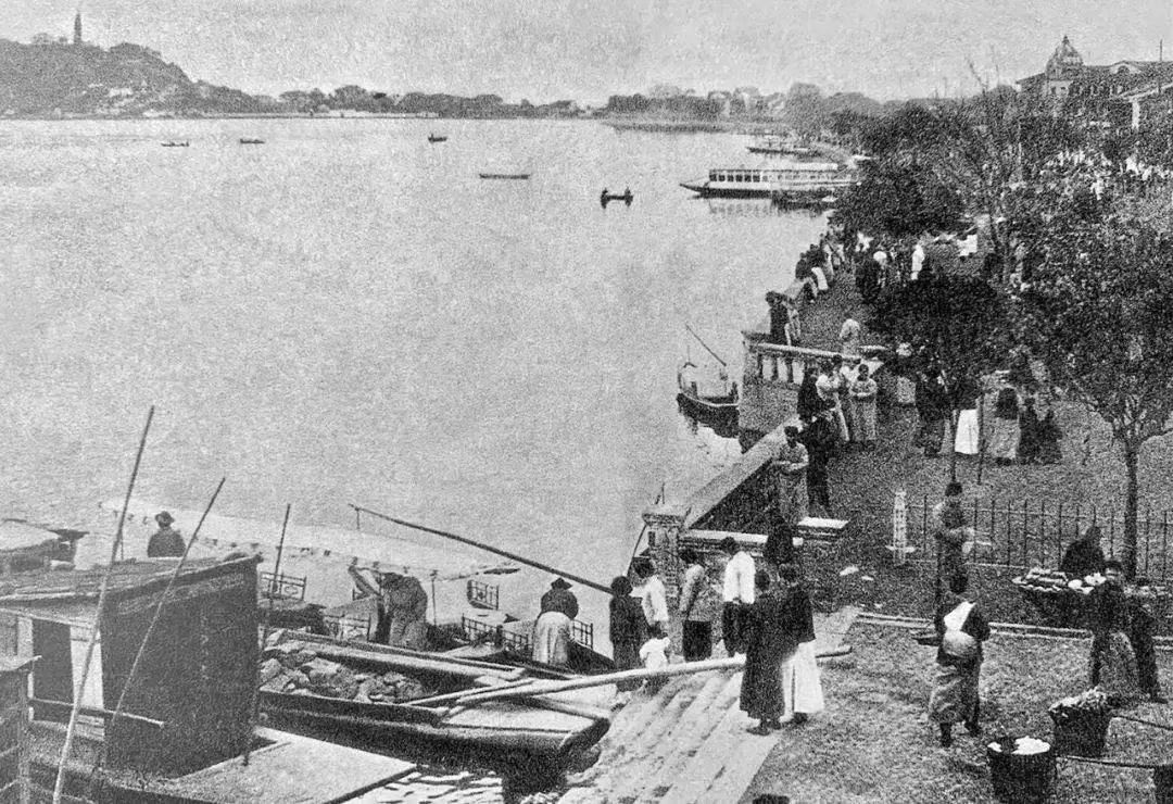 西湖边，很多人都被问住了！为啥没有栏杆？网友：这是“肌肉记忆”......