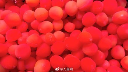 金西梅并非新鲜水果而是蜜饯