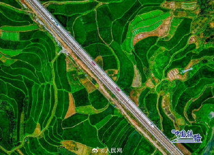 在中国坐高铁 窗外的风景绝了！