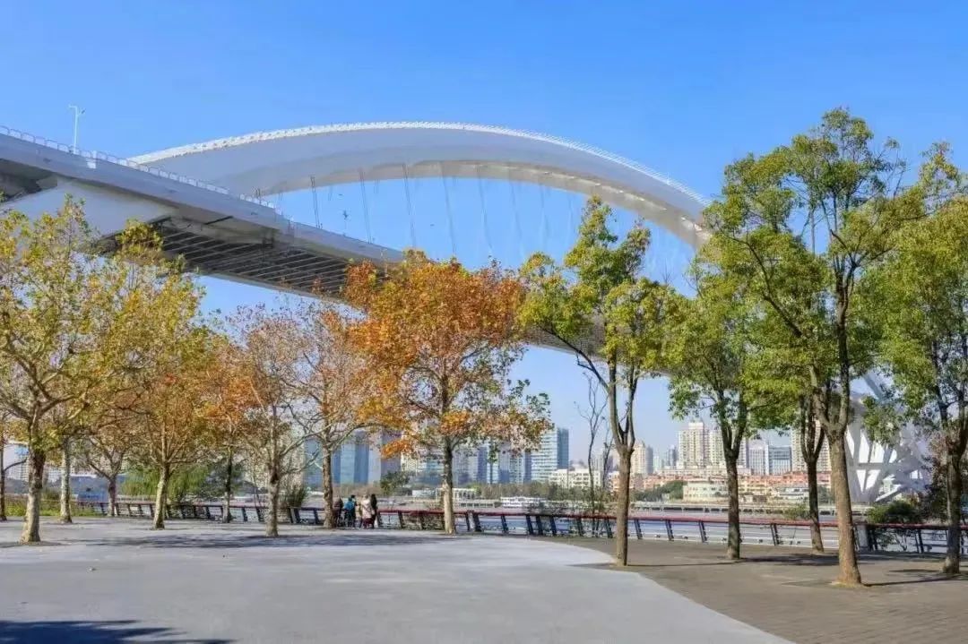 【便民】收藏这份上海“寻厕”指南,“五一”出行偶遇“靓丽风景”! 【便民】收藏这份上海“寻厕”指南,“五一”出行偶遇“靓丽风景”!