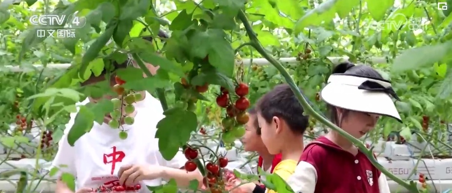 假日游国潮范十足 传统经典艺术与现代生活融合碰撞 假日游国潮范十足 传统经典艺术与现代生活融合碰撞