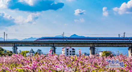 在中国坐高铁 窗外的风景绝了！