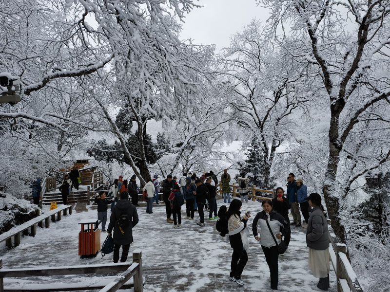 四川黄龙景区迎降雪 “人间瑶池”迎客来 四川黄龙景区迎降雪 “人间瑶池”迎客来