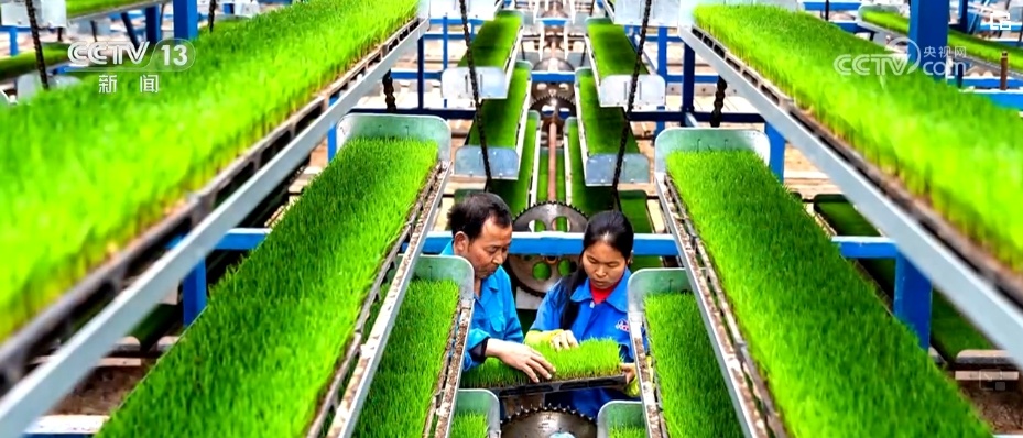 实干诠释担当，为向往生活着色 一系列重磅基建工程成为创新和突破典范