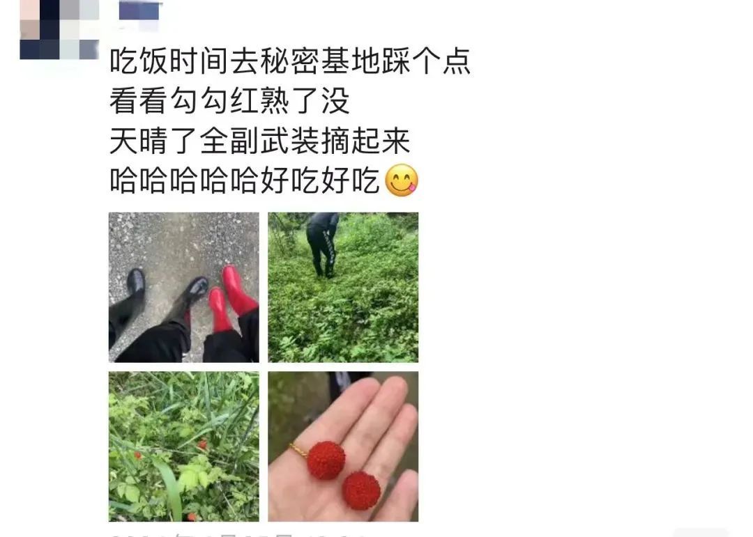 140元一斤！绍兴不少路边随处可见