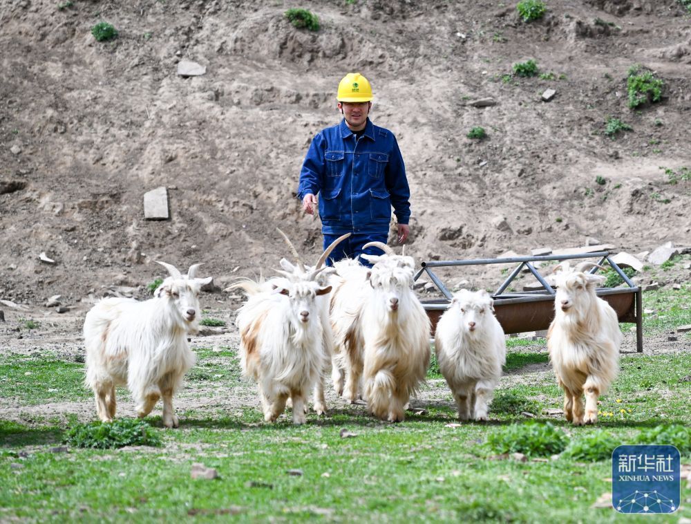 “95后”电网巡检飞手：我从山上来，乘风而上