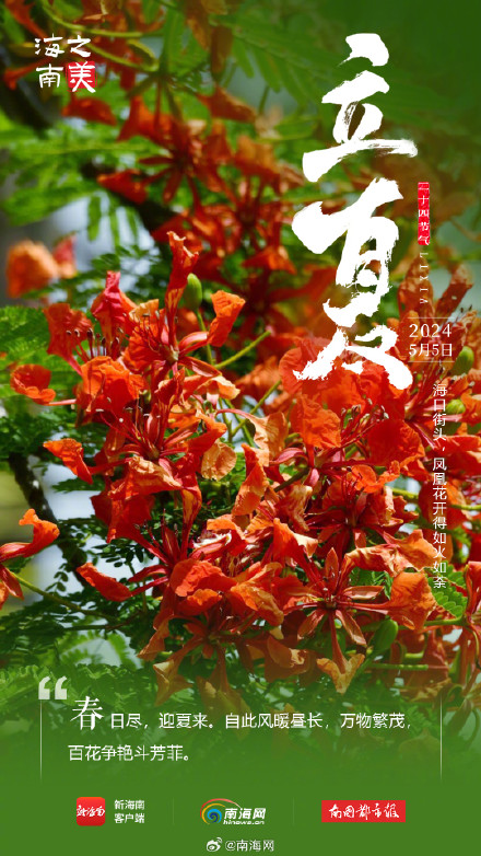 今日立夏！海南这些花花果果太美了