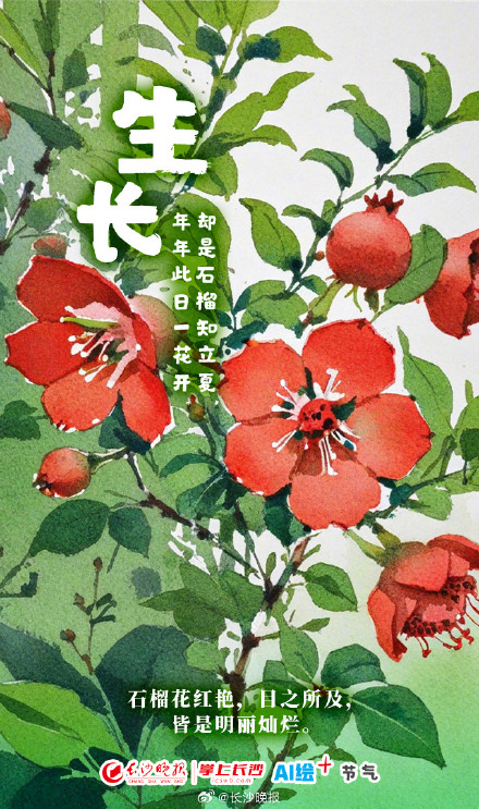 立夏称重!快看看你长了几斤 立夏称重!快看看你长了几斤