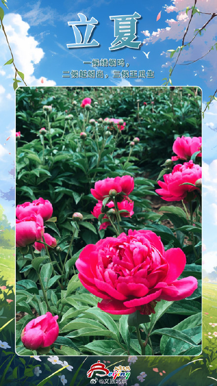 今日立夏 夏早日初长,南风草木香 今日立夏 夏早日初长,南风草木香
