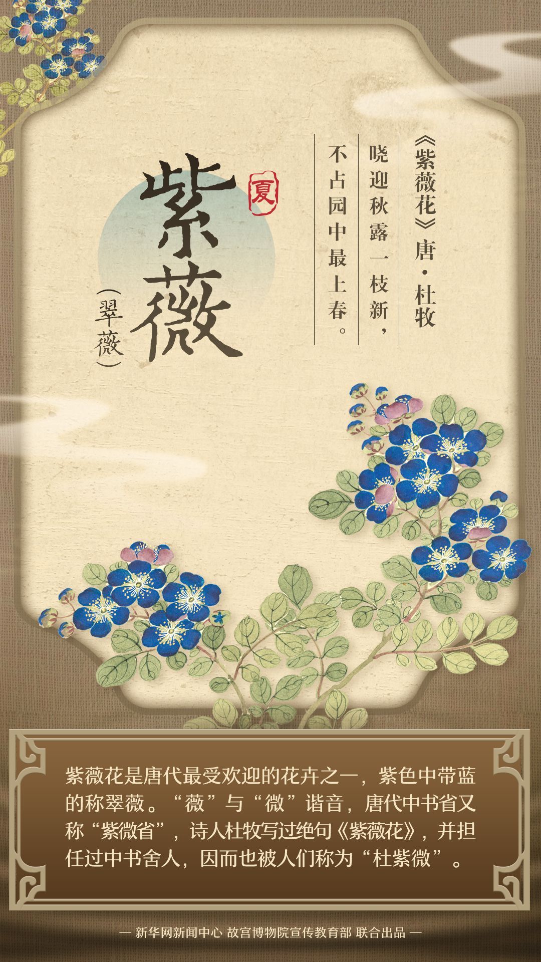 藏在古画里的夏日繁花