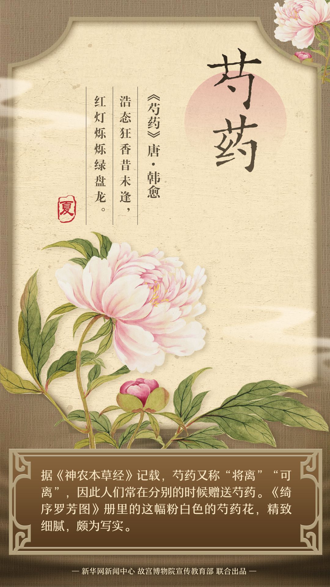 藏在古画里的夏日繁花