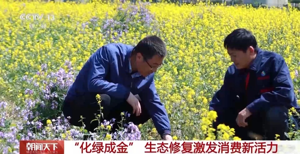 修旧如旧、化绿成金 这些五一“新惊喜”你打卡了吗？