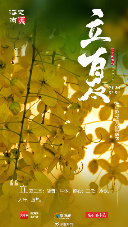 今日立夏！海南这些花花果果太美了